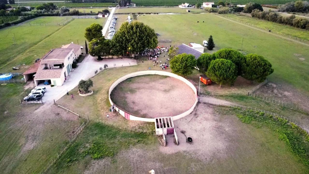 Manade Saint Louis Mas De La Paix Panzió Vauvert Kültér fotó