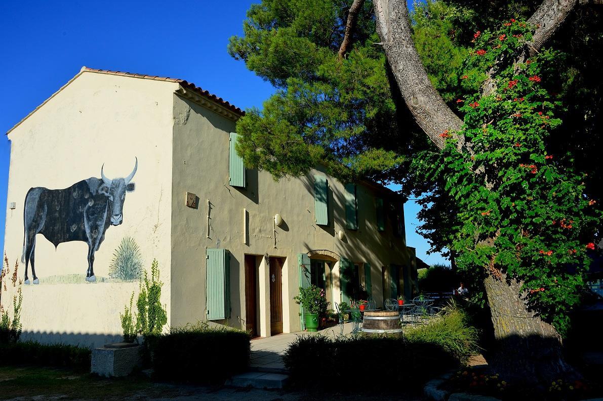 Manade Saint Louis Mas De La Paix Panzió Vauvert Kültér fotó